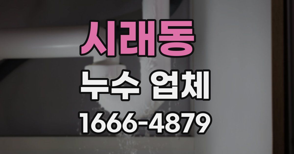 시래동 누수 업체