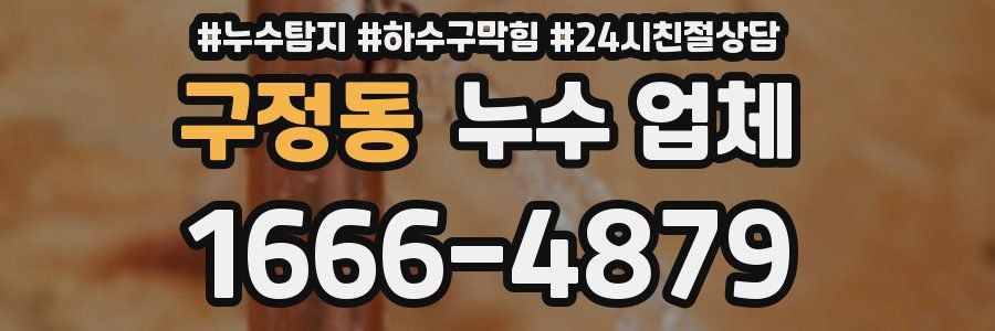 구정동 누수 업체