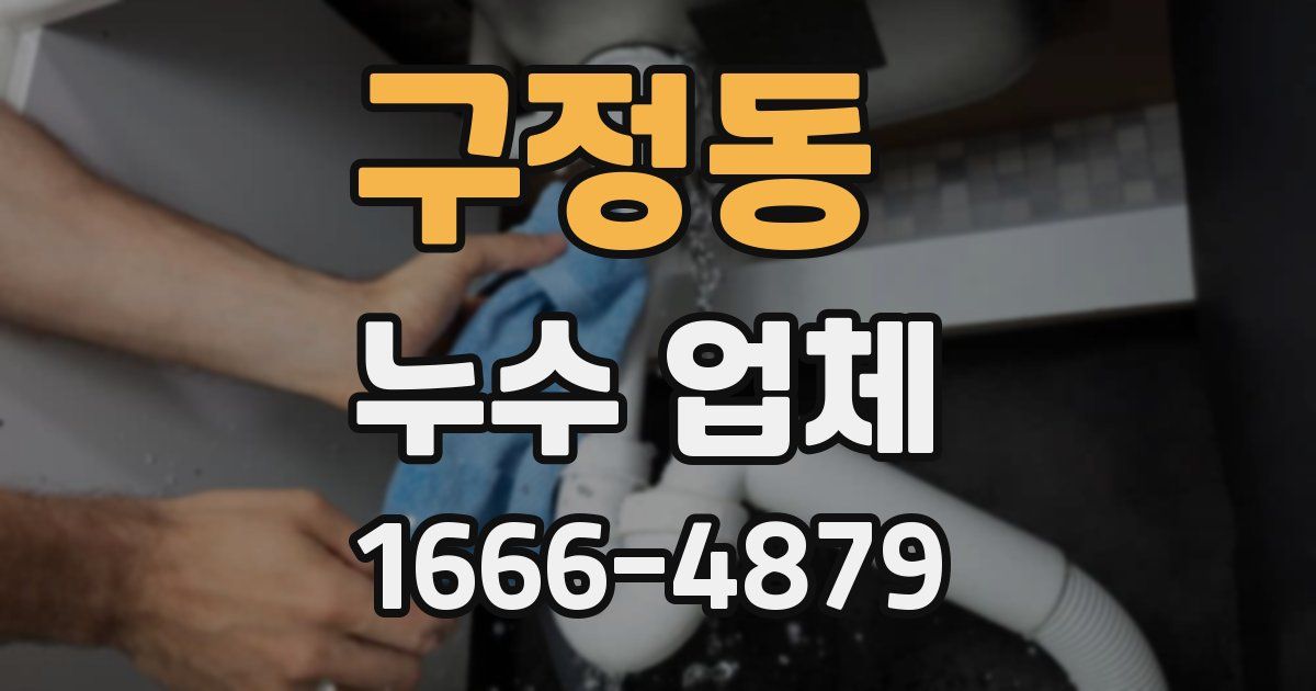 구정동 누수 업체