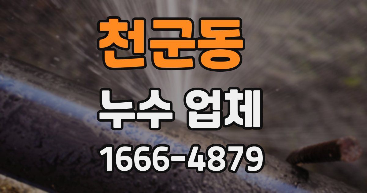 천군동 누수 업체