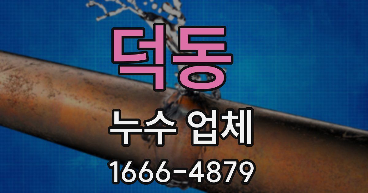 덕동 누수 업체