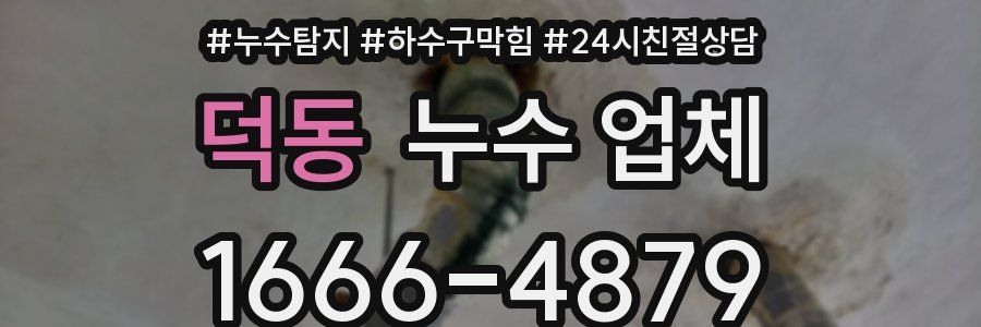 덕동 누수 업체