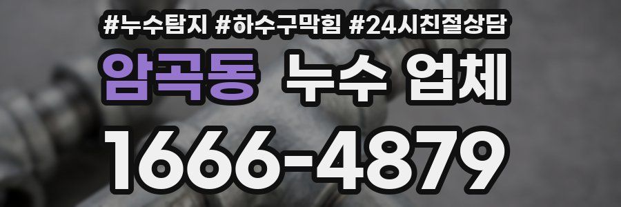 암곡동 누수 업체