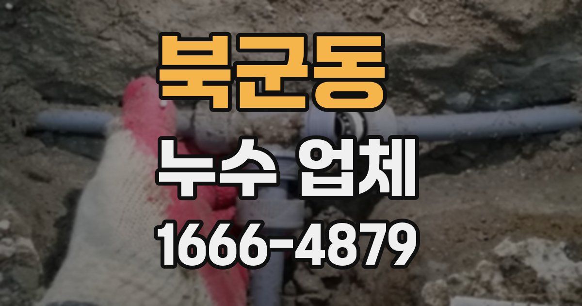 북군동 누수 업체