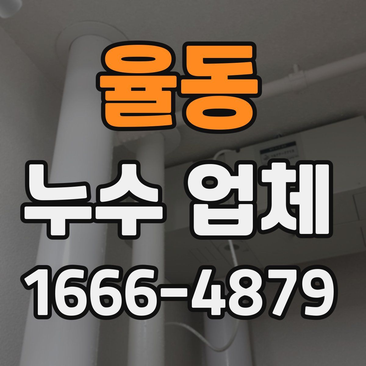 율동 누수 업체