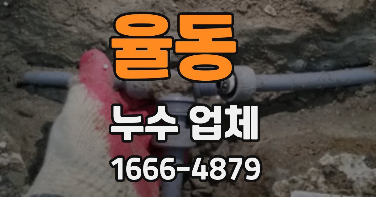 율동 누수 업체