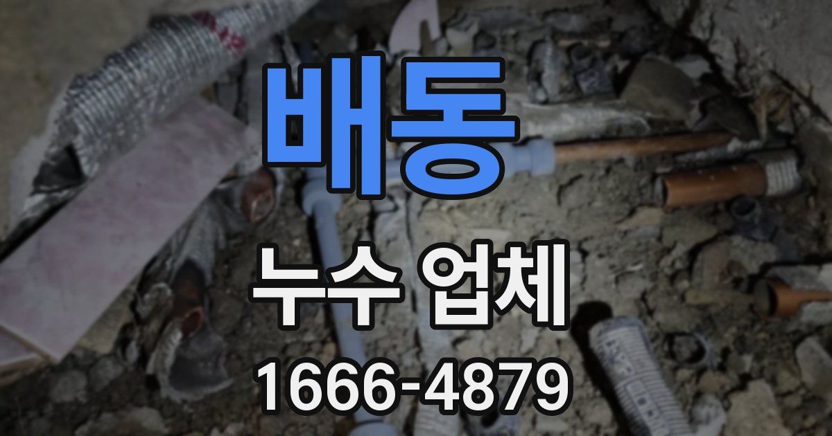 배동 누수 업체