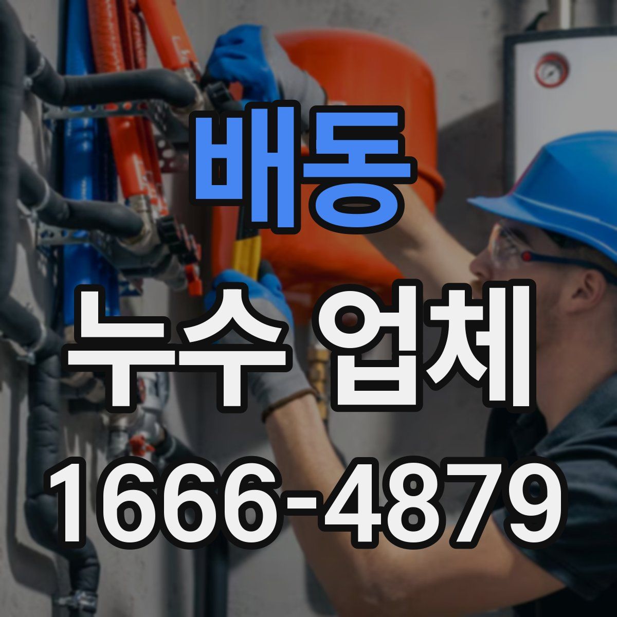 배동 누수 업체