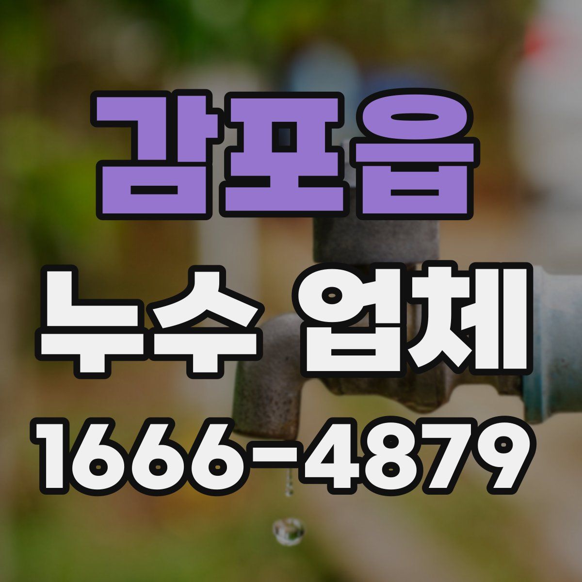 감포읍 누수 업체