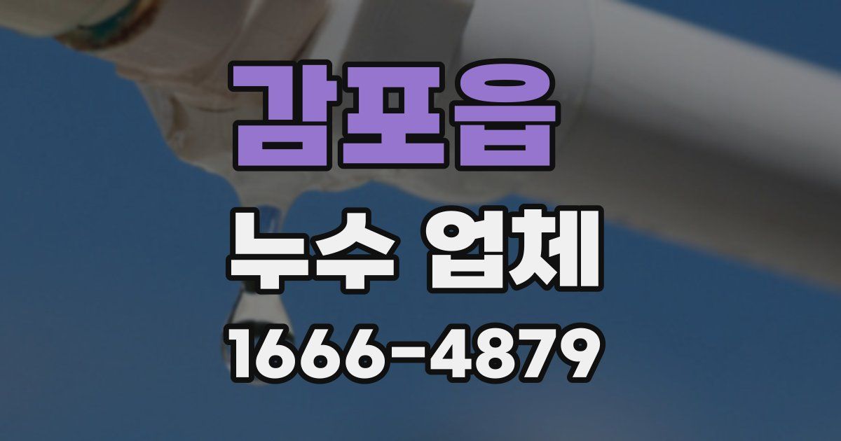 감포읍 누수 업체