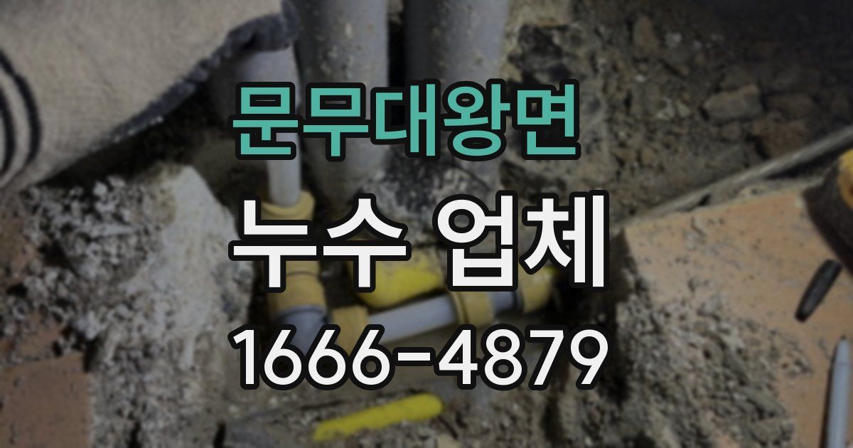 문무대왕면 누수 업체