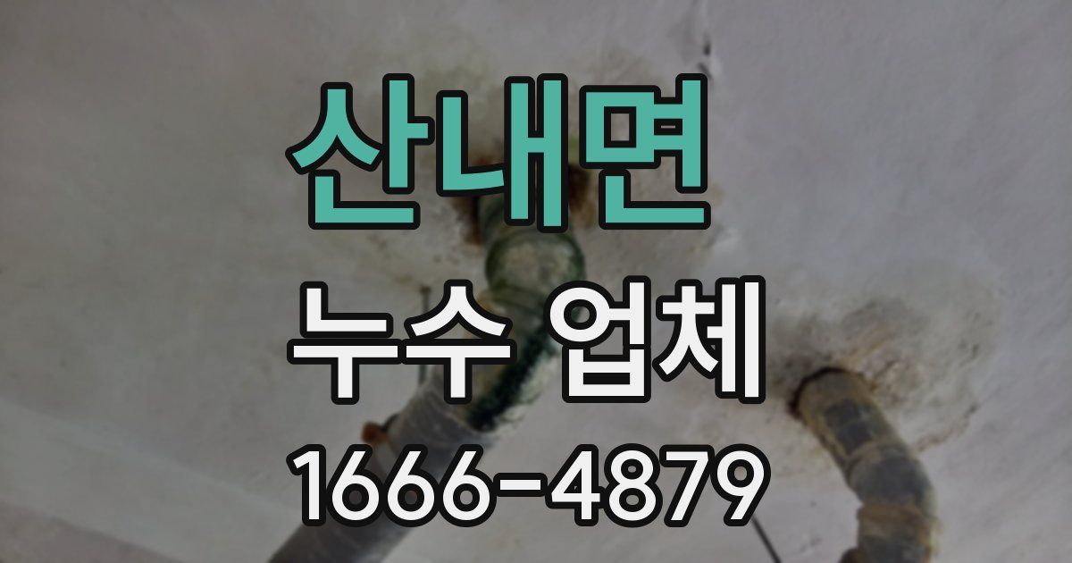 산내면 누수 업체