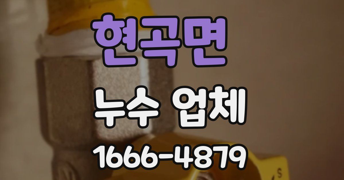 현곡면 누수 업체
