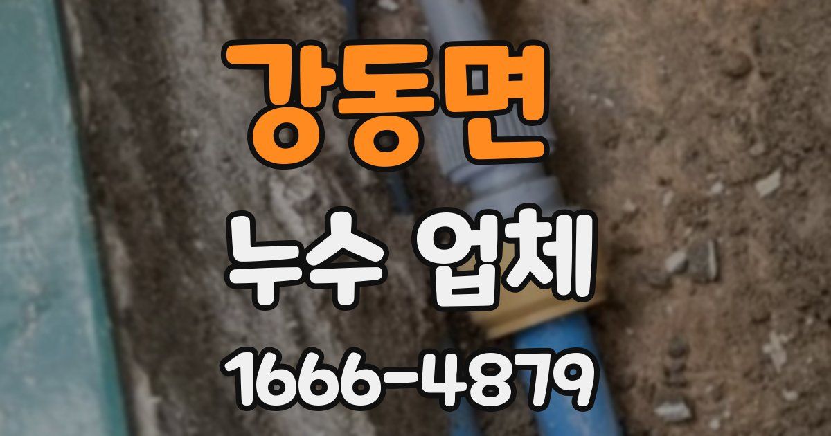 강동면 누수 업체