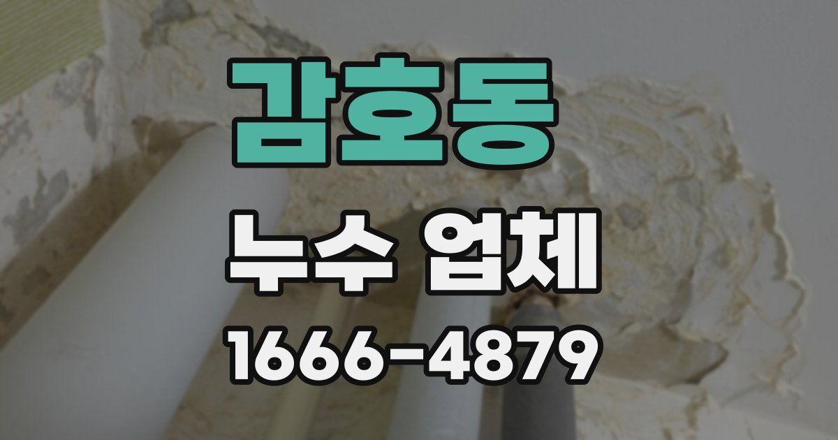 감호동 누수 업체
