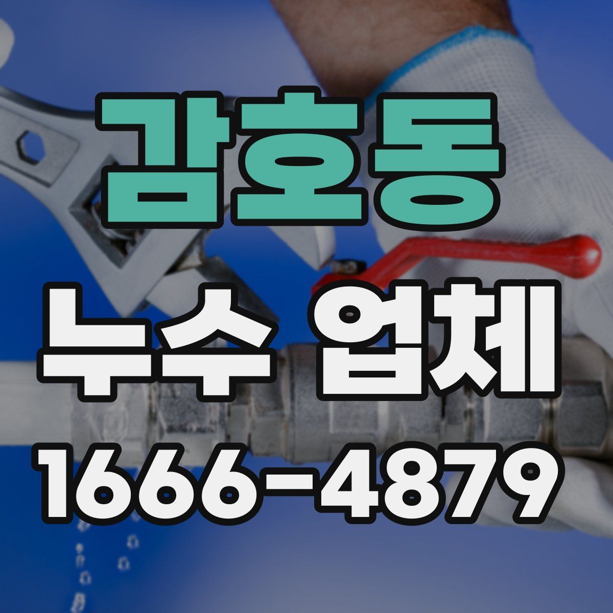 감호동 누수 업체
