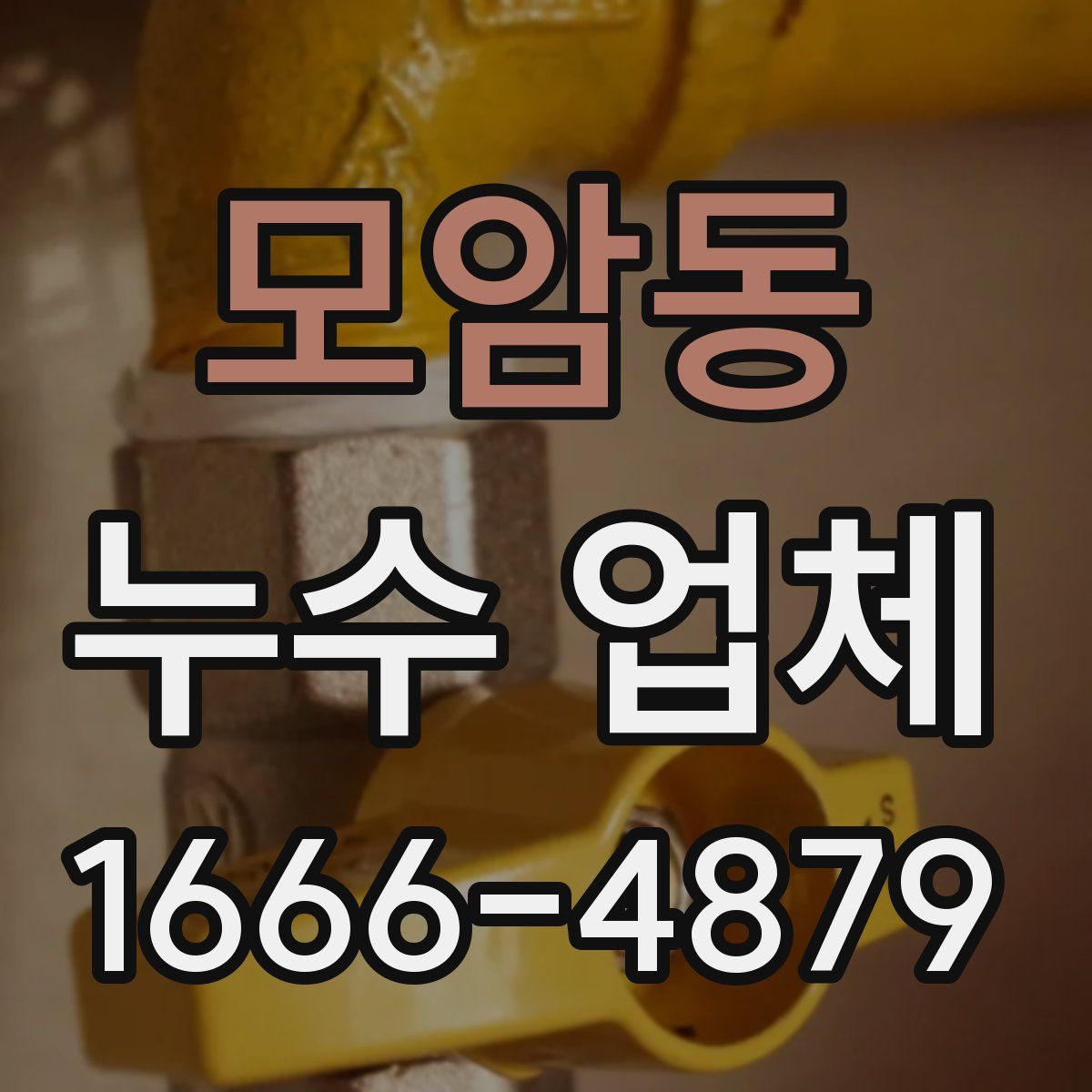 모암동 누수 업체