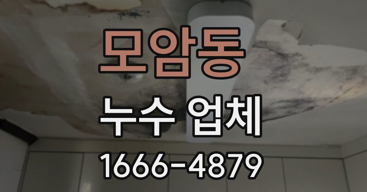 모암동 누수 업체
