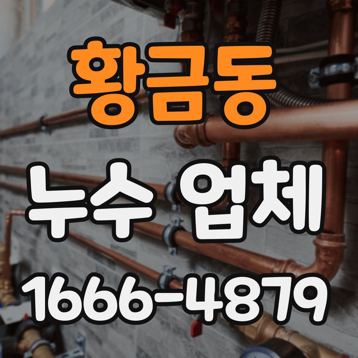 황금동 누수 업체