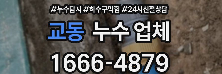 교동 누수 업체