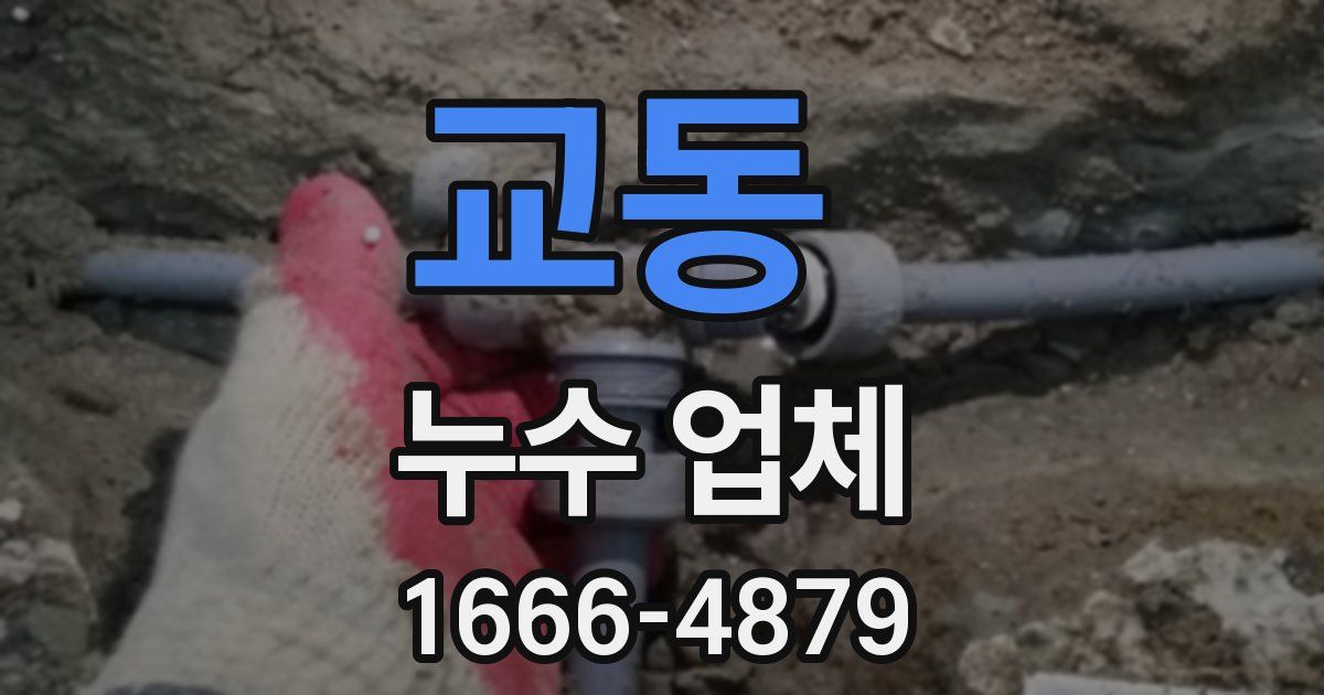교동 누수 업체