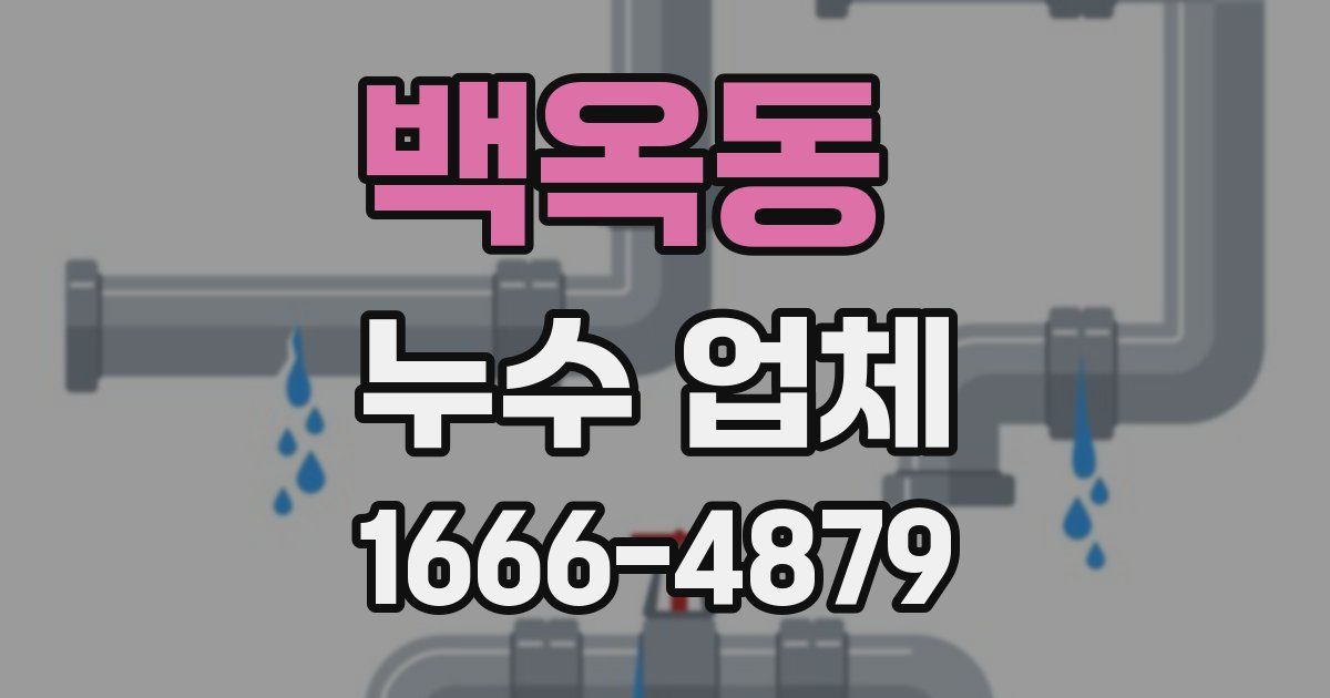 백옥동 누수 업체