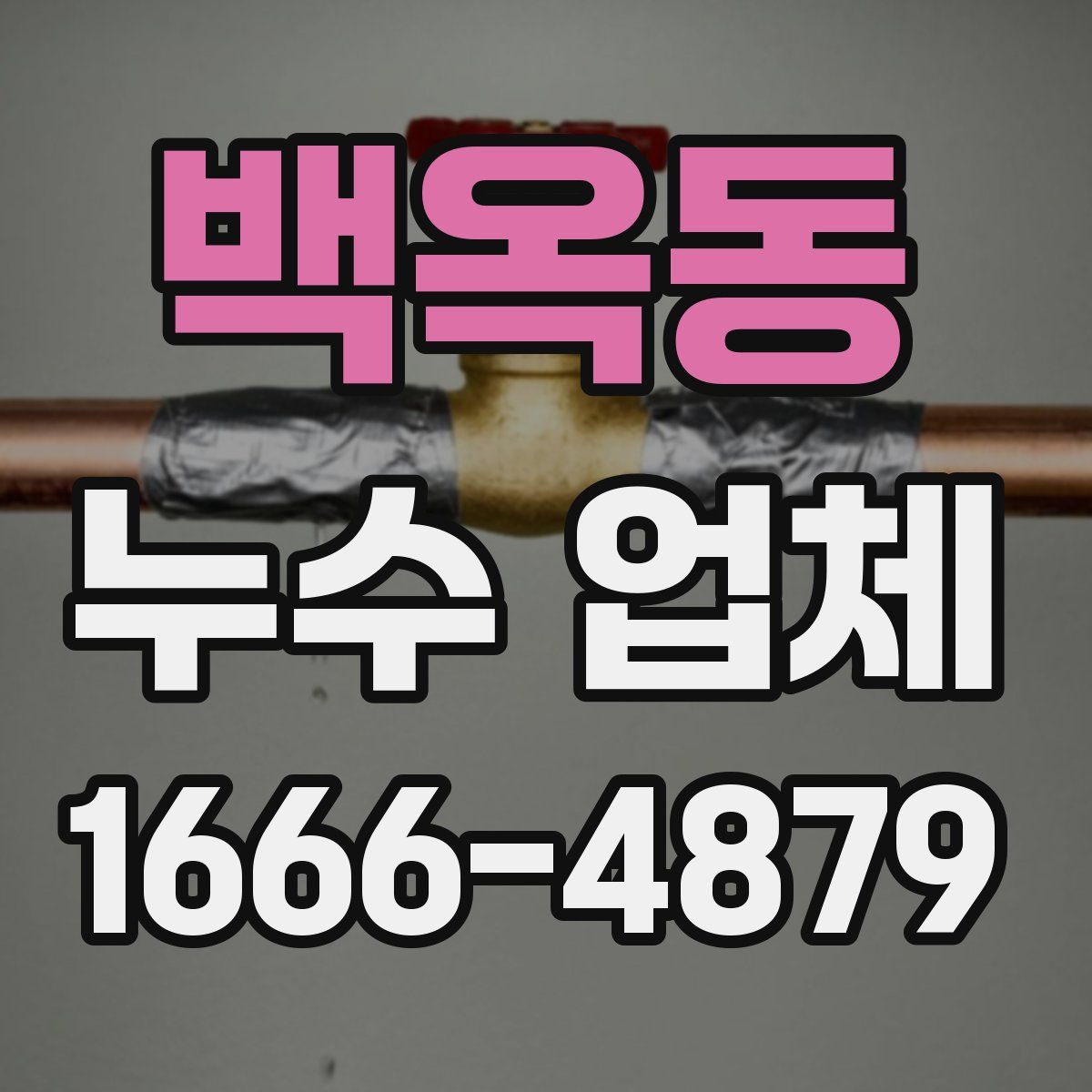 백옥동 누수 업체