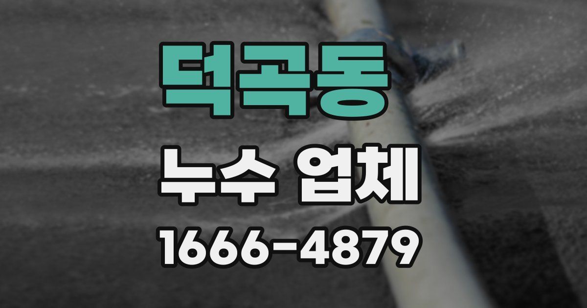 덕곡동 누수 업체
