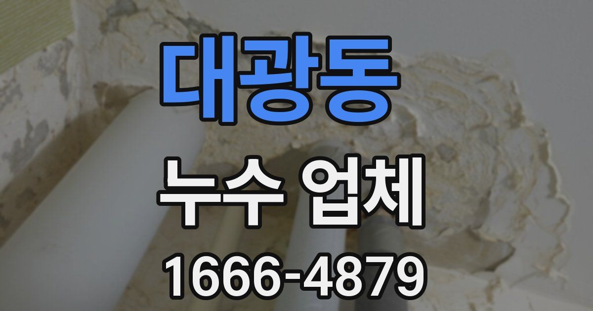 대광동 누수 업체