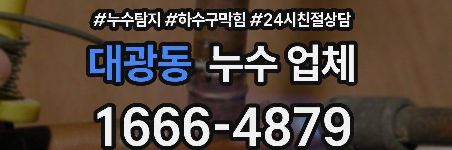대광동 누수 업체