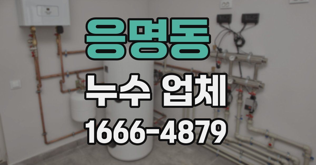 응명동 누수 업체