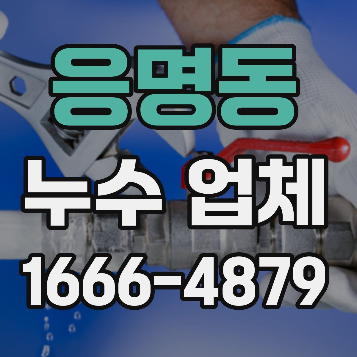 응명동 누수 업체