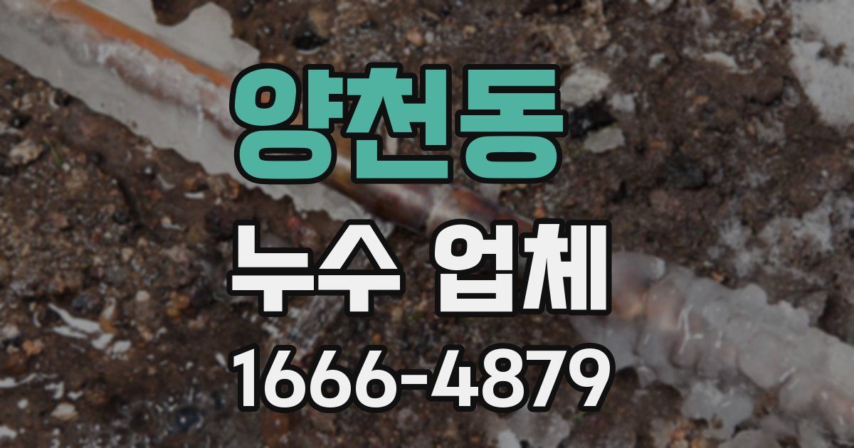 양천동 누수 업체