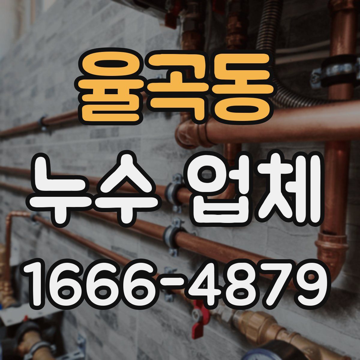 율곡동 누수 업체