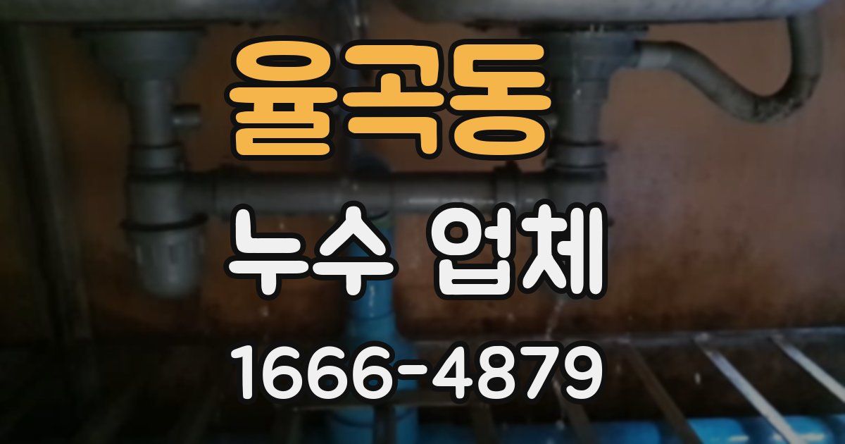 율곡동 누수 업체