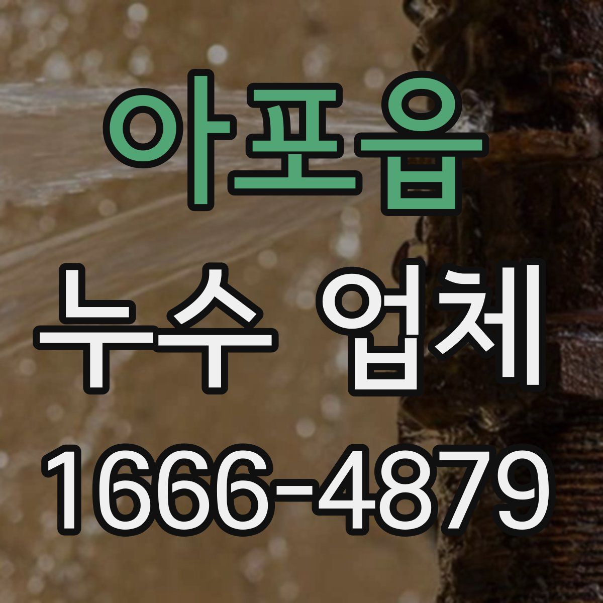 아포읍 누수 업체