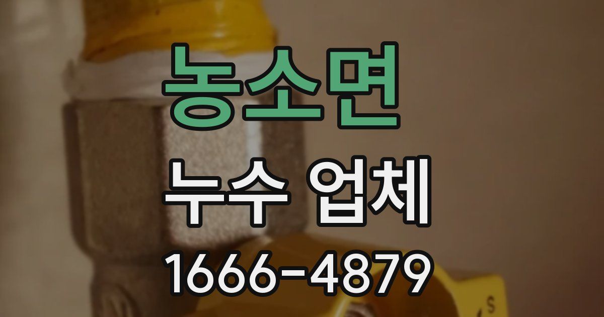 농소면 누수 업체