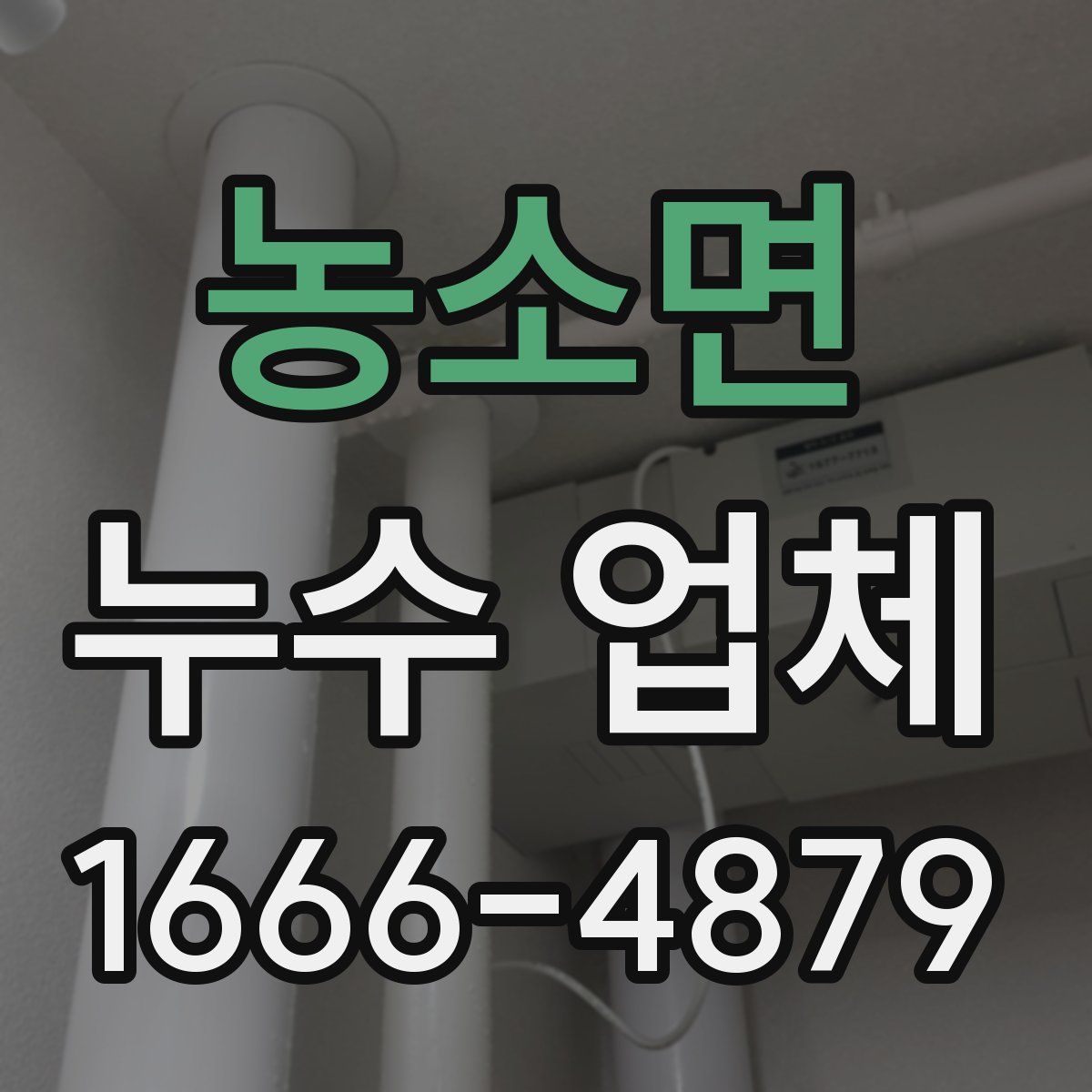 농소면 누수 업체
