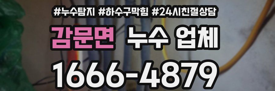 감문면 누수 업체