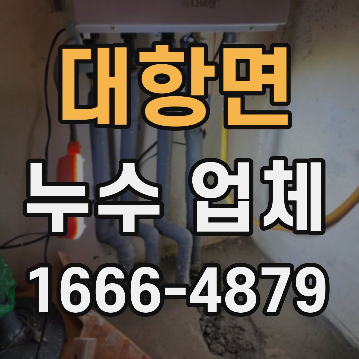 대항면 누수 업체