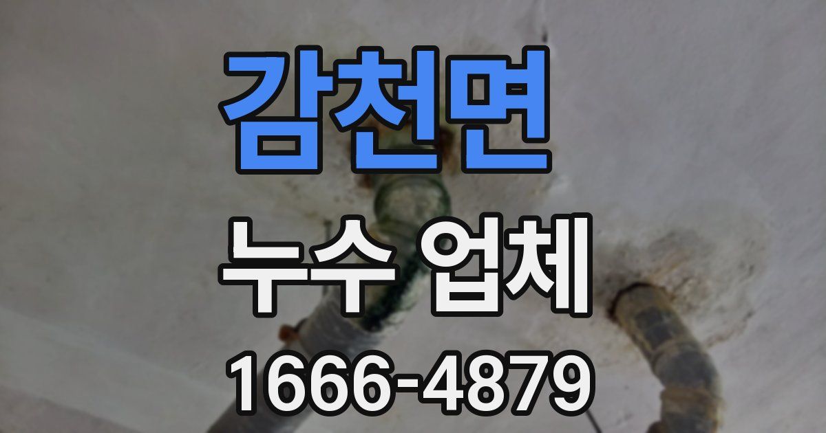 감천면 누수 업체