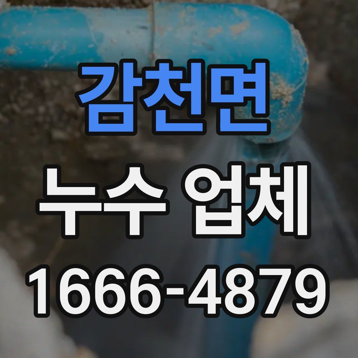 감천면 누수 업체