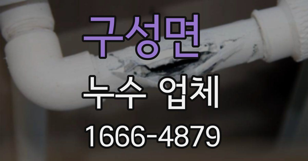 구성면 누수 업체