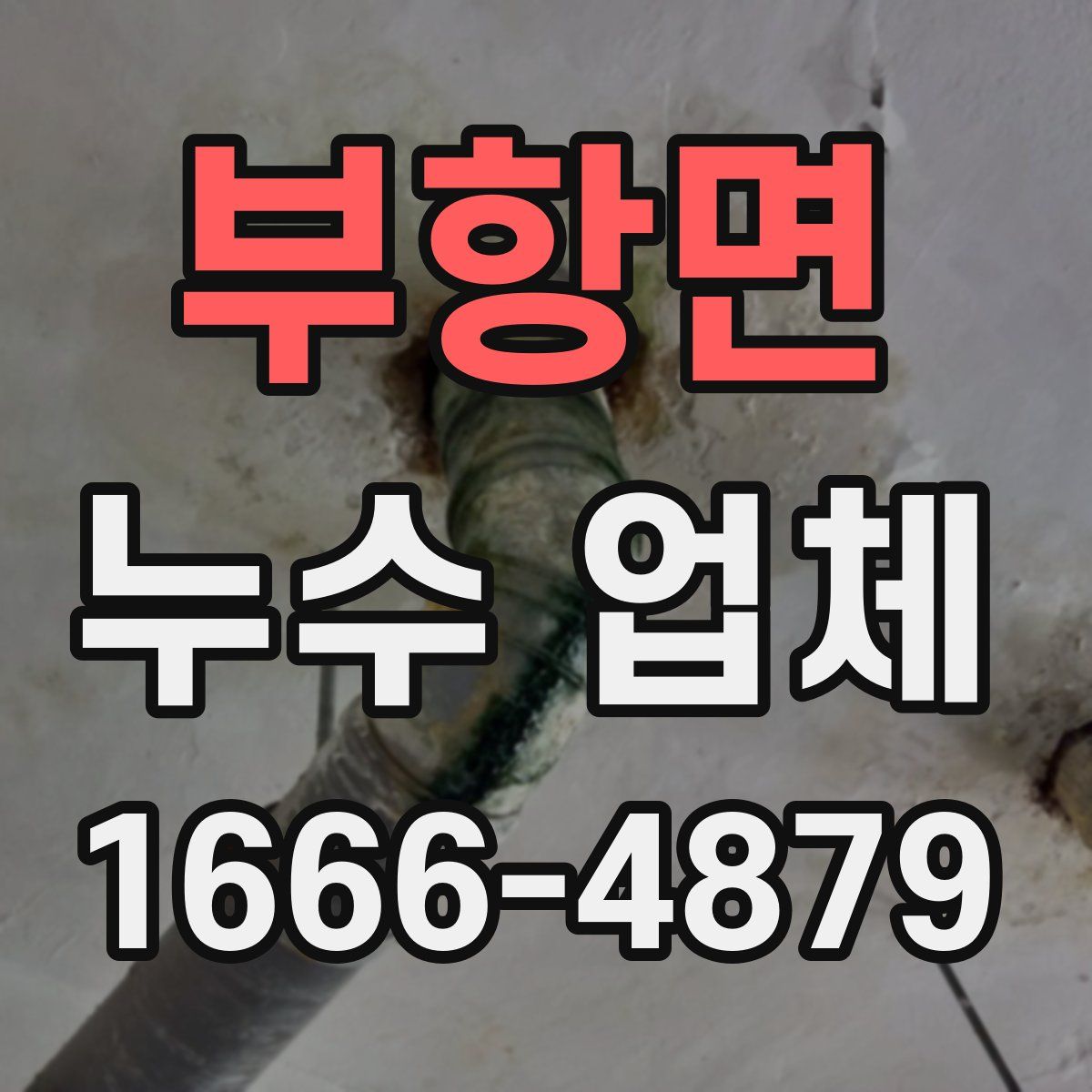 부항면 누수 업체
