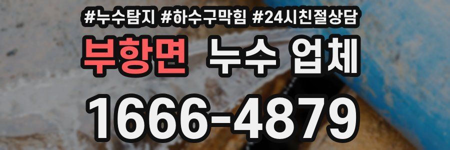 부항면 누수 업체