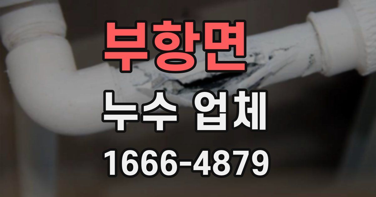 부항면 누수 업체
