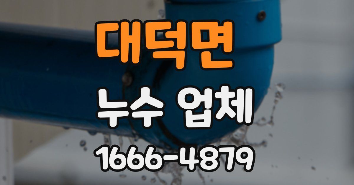 대덕면 누수 업체