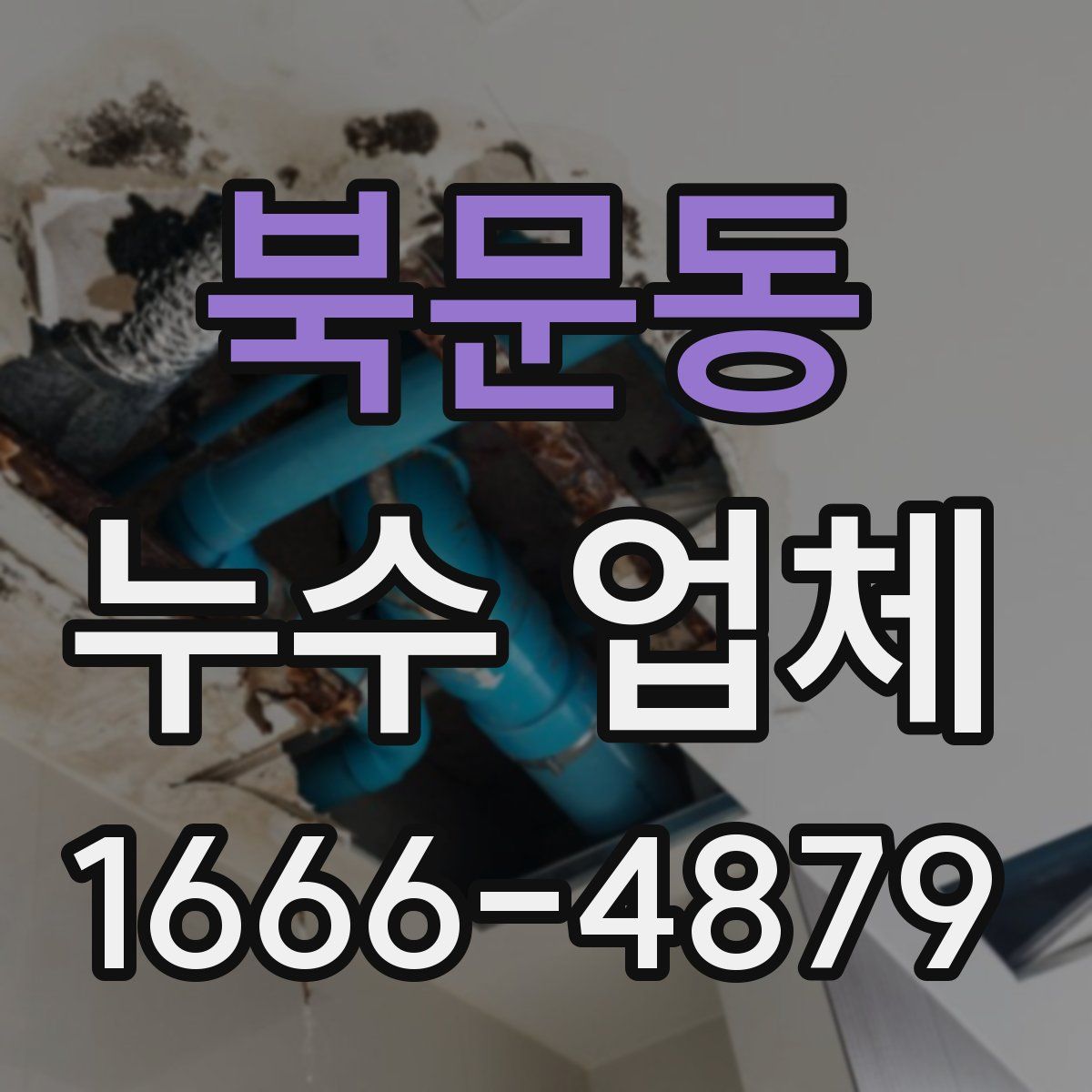 북문동 누수 업체