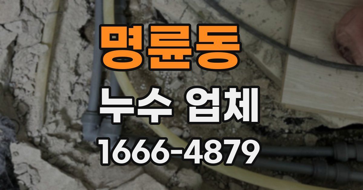 명륜동 누수 업체