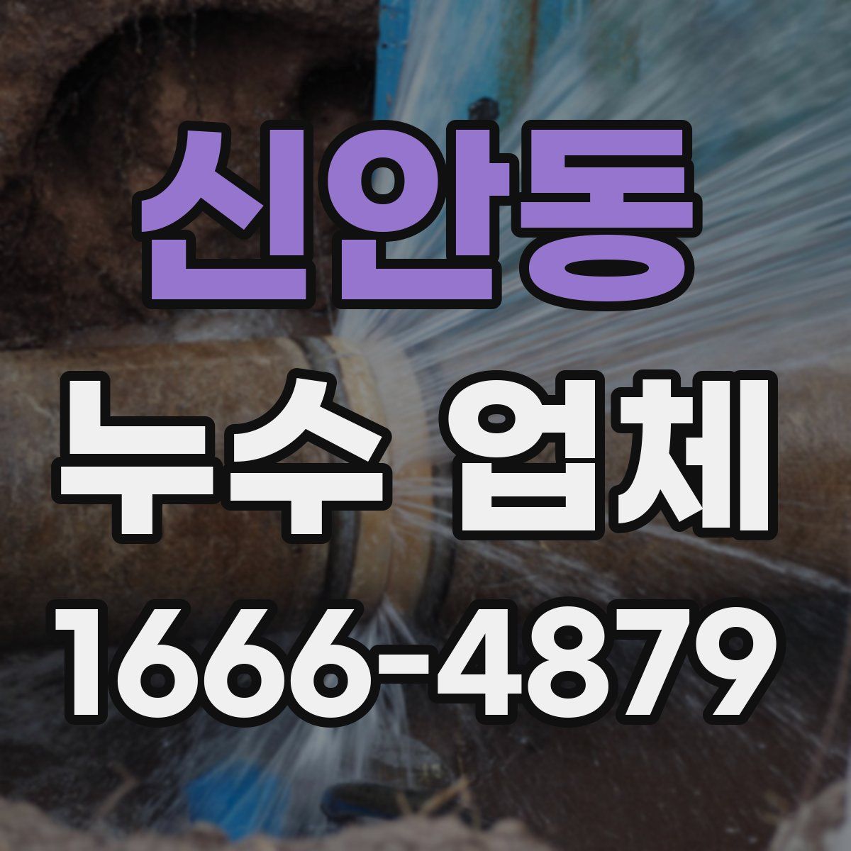 신안동 누수 업체